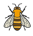Bees